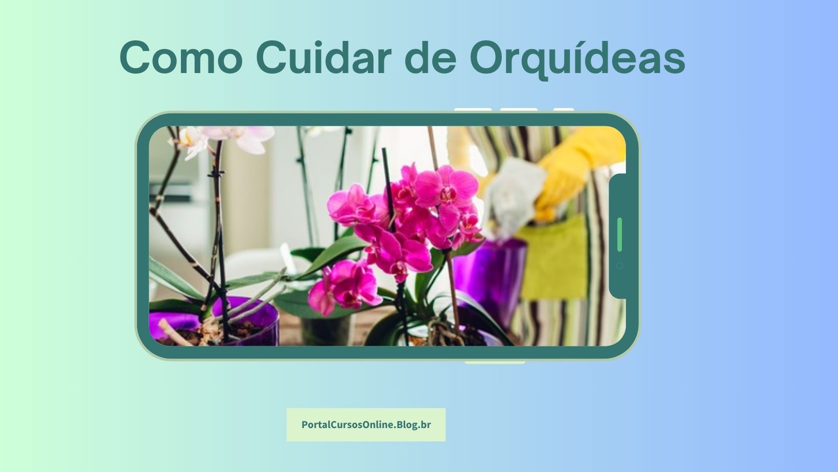 Como Cuidar de Orquídeas - curso online EAD